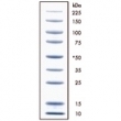 EC-899-0.05ML.jpg